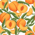 Seamless pattern of peach whole and sliced with green leaves flat vector illustration on white background Royalty Free Stock Photo