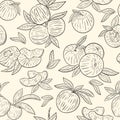 Seamless pattern with peaches vector. Sketch.