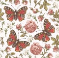 Seamless pattern peacock butterfly Realistic isolated flowers Vintage background Rose Wallpaper Drawing engraving agrostemma Royalty Free Stock Photo