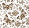 Seamless pattern peacock butterfly Realistic isolated flowers Vintage background Rose Wallpaper Drawing engraving agrostemma