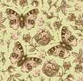 Seamless pattern peacock butterfly Realistic isolated flowers Vintage background Rose Wallpaper Drawing engraving agrostemma Royalty Free Stock Photo