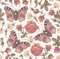 Seamless pattern peacock butterfly Realistic isolated flowers Vintage background Rose Wallpaper Drawing engraving agrostemma