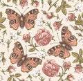 Seamless pattern peacock butterfly Realistic isolated flowers Vintage background Rose Wallpaper Drawing engraving agrostemma Royalty Free Stock Photo