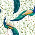 Seamless Pattern With Peacock, Flowers And Leaves.
