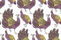 seamless pattern with peafowls Royalty Free Stock Photo