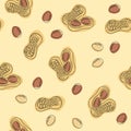 Seamless pattern peanuts on a light background. Vector illustration. Royalty Free Stock Photo