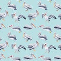 Seamless pattern with pelicans on a blue background, watercolor illustrations, paper design, birds.