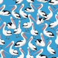 Seamless pattern. Pelicans in different poses on a blue background