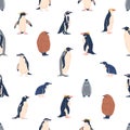 Seamless Pattern With Penguins Various Species. Emperor, Adelie, Gentoo, Rockhopper, King And Macaroni, Fluffy, Little Royalty Free Stock Photo