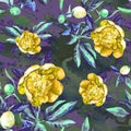 Seamless pattern of peonies in watercolor.