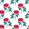 Seamless pattern with peonies. Pink flowers on white background drawn by hand. Embroidered texture on the petals, leaves. Print Royalty Free Stock Photo