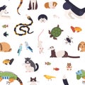 Seamless pattern with pets on white background. Backdrop with cute cartoon domestic animals - mammals, birds, fish