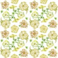 Seamless pattern with petunia flowers. Watercolor illustration