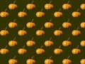 Seamless pattern of photos of pumpkins on a dark brown background.