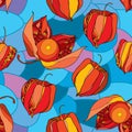 Seamless pattern with Physalis or Cape gooseberry in red and in orange on the blue mosaic background