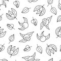 Seamless pattern of physalis flashlight, wallpaper contour of beautiful autumn berries and physalis leaves