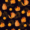 Physalis colored pattern2