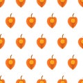 Seamless pattern with physalis.