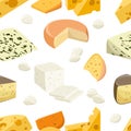 Seamless pattern pieces of cheese Popular kind of cheese icons isolated flat style fresh milk products illustration on whit