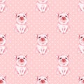 Seamless pattern with pig. Pink background Royalty Free Stock Photo
