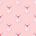 Seamless pattern with pig. Pink background