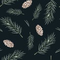 Seamless pattern of pine branch and cones. Botanical elements twig of conifers evergreen tree. Hand drawn watercolor Royalty Free Stock Photo