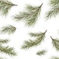 seamless pattern. Pine branch watercolor isolated illustration. green natural forest christmas tree. needles branches greenery Royalty Free Stock Photo