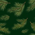 seamless pattern. Pine branch watercolor isolated illustration. green natural forest christmas tree. needles branches greenery Royalty Free Stock Photo