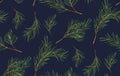 Seamless pattern of Pine Christmas spruce, new year tree natural