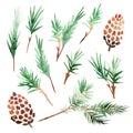 Seamless pattern with pine cones