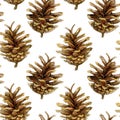 Seamless pattern with pine cones. Watercolor illustration isolated on white background. Royalty Free Stock Photo