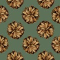 Seamless pattern with pine cones. Watercolor illustration isolated on white background. Royalty Free Stock Photo