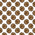 Seamless pattern with pine cones. Watercolor illustration isolated on white background. Royalty Free Stock Photo