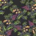 Seamless pattern of pine fir branches of Christmas tree with cones and flowers decorative design element Royalty Free Stock Photo