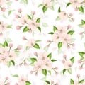 Seamless pattern with pink apple blossoms. Vector illustration. Royalty Free Stock Photo