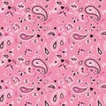 SEAMLESS PATTERN IN PINK AND BLACK PAISLEY DESIGN RASTER IMAGE