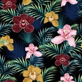 Seamless pattern, pink burgundy yellow orchid flower and green blue exotic palm leaves