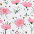 Seamless pattern with pink chamomile flowers. Rustic floral design for wedding invitations and birthday cards. Royalty Free Stock Photo