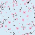 Seamless pattern of pink cherry flowers on light blue background Royalty Free Stock Photo