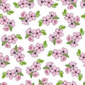 Seamless pattern with pink cherry sakura flowers vector illustration for festive design. Royalty Free Stock Photo