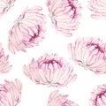 Seamless pattern with pink chrysanthemums