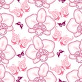 Seamless pattern with pink dotted moth Orchid or Phalaenopsis and ornate butterflies on the white background.