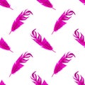 Seamless pattern pink feathers isolated against a white background Royalty Free Stock Photo