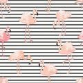 Seamless pattern with pink flamingo birds Royalty Free Stock Photo