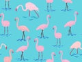 Seamless pattern with pink flamingo birds. Royalty Free Stock Photo