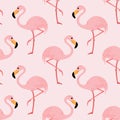 A seamless pattern with pink flamingo birds.