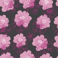 Seamless pattern  with  pink flowers of peony and abstract spots. Hand drawn ink sketch. Pink objects  on dark grey background Royalty Free Stock Photo