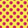 Seamless pattern of pink gerbera flowers on yellow background isolated, bright red daisy flower repeat ornament, summer wallpaper Royalty Free Stock Photo