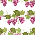 Seamless pattern of pink grape vines