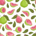 Seamless Pattern Pink Guava Fruit Tree on White Background with leaves. Vector illustration Royalty Free Stock Photo